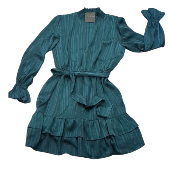 Hunter Green Dress long sleeve tiered mock neck NWT - Picture 4 of 8